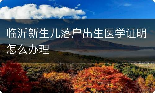 临沂新生儿落户出生医学证明怎么办理