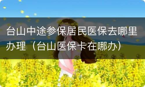 台山中途参保居民医保去哪里办理（台山医保卡在哪办）