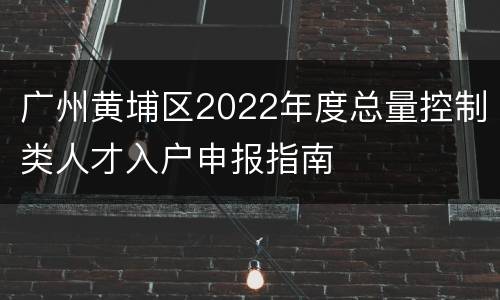 广州黄埔区2022年度总量控制类人才入户申报指南