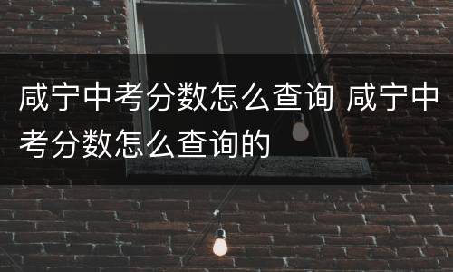 咸宁中考分数怎么查询 咸宁中考分数怎么查询的