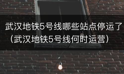 武汉地铁5号线哪些站点停运了（武汉地铁5号线何时运营）