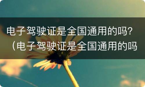 电子驾驶证是全国通用的吗？（电子驾驶证是全国通用的吗）