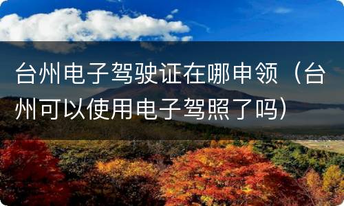 台州电子驾驶证在哪申领（台州可以使用电子驾照了吗）