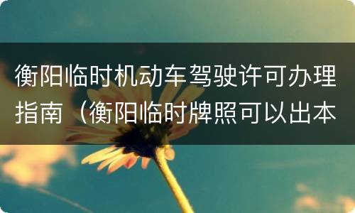 衡阳临时机动车驾驶许可办理指南（衡阳临时牌照可以出本市吗）