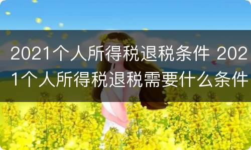 2021个人所得税退税条件 2021个人所得税退税需要什么条件