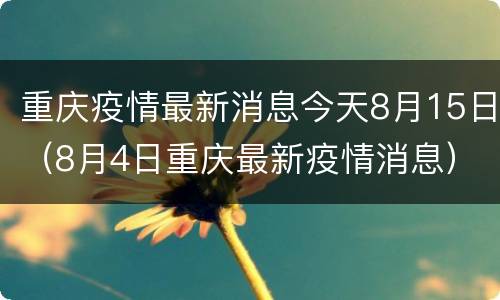 重庆疫情最新消息今天8月15日（8月4日重庆最新疫情消息）