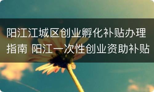 阳江江城区创业孵化补贴办理指南 阳江一次性创业资助补贴申请
