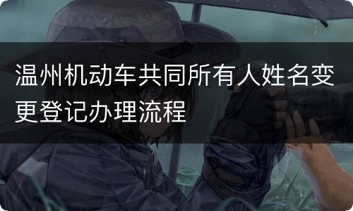 温州机动车共同所有人姓名变更登记办理流程