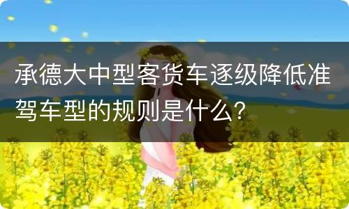 承德大中型客货车逐级降低准驾车型的规则是什么？