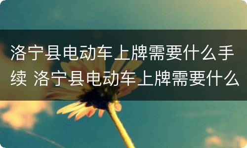 洛宁县电动车上牌需要什么手续 洛宁县电动车上牌需要什么手续和条件