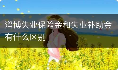 淄博失业保险金和失业补助金有什么区别