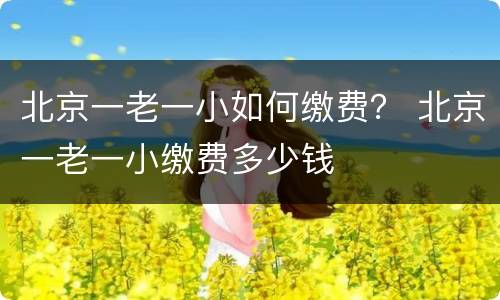北京一老一小如何缴费？ 北京一老一小缴费多少钱