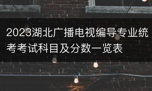 2023湖北广播电视编导专业统考考试科目及分数一览表