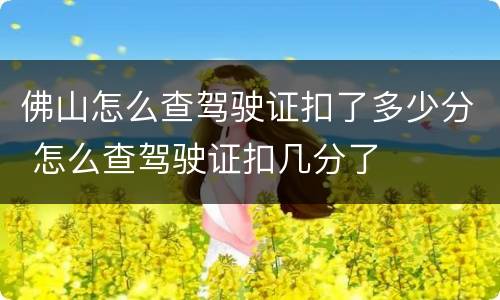 佛山怎么查驾驶证扣了多少分 怎么查驾驶证扣几分了