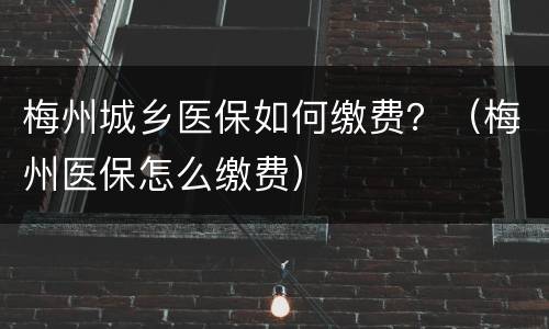 梅州城乡医保如何缴费？（梅州医保怎么缴费）