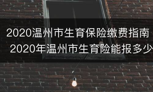 2020温州市生育保险缴费指南 2020年温州市生育险能报多少