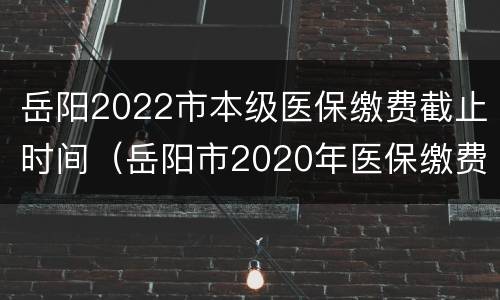 岳阳2022市本级医保缴费截止时间（岳阳市2020年医保缴费时间?）
