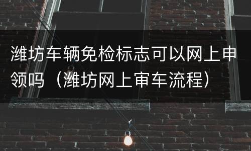 潍坊车辆免检标志可以网上申领吗（潍坊网上审车流程）