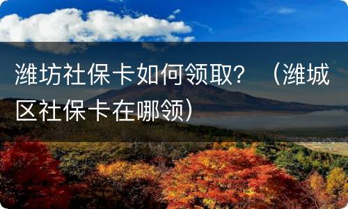 潍坊社保卡如何领取？（潍城区社保卡在哪领）