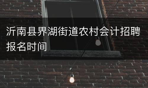 沂南县界湖街道农村会计招聘报名时间