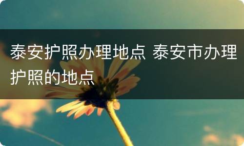 泰安护照办理地点 泰安市办理护照的地点