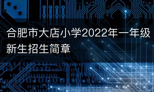 合肥市大店小学2022年一年级新生招生简章