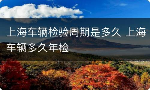 上海车辆检验周期是多久 上海车辆多久年检