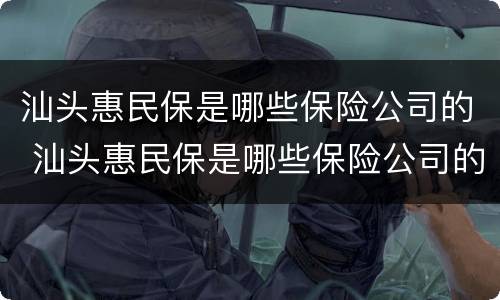 汕头惠民保是哪些保险公司的 汕头惠民保是哪些保险公司的公司