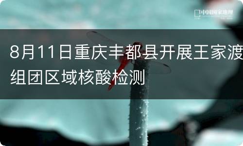 8月11日重庆丰都县开展王家渡组团区域核酸检测