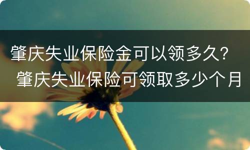 肇庆失业保险金可以领多久？ 肇庆失业保险可领取多少个月