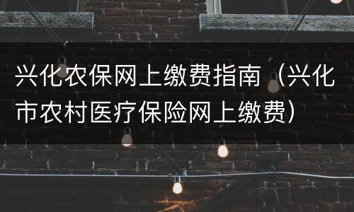 兴化农保网上缴费指南（兴化市农村医疗保险网上缴费）