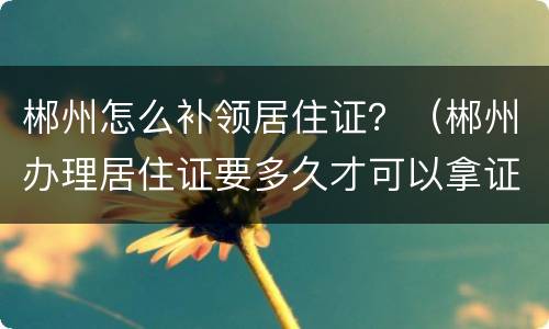 郴州怎么补领居住证？（郴州办理居住证要多久才可以拿证）