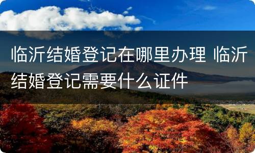 临沂结婚登记在哪里办理 临沂结婚登记需要什么证件