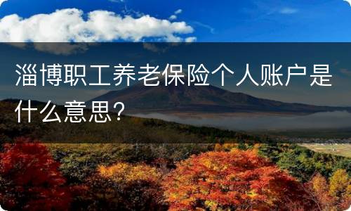 淄博职工养老保险个人账户是什么意思?