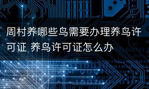 周村养哪些鸟需要办理养鸟许可证 养鸟许可证怎么办