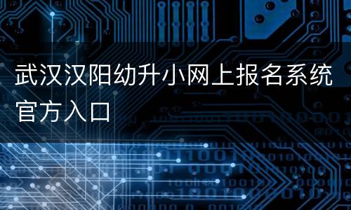武汉汉阳幼升小网上报名系统官方入口