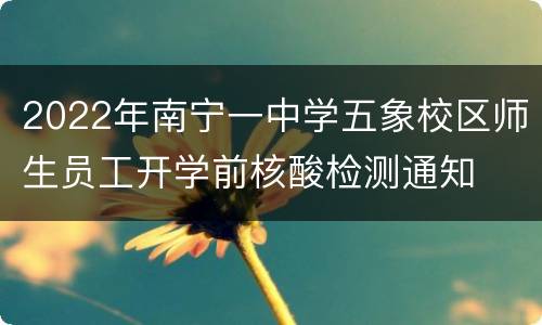 2022年南宁一中学五象校区师生员工开学前核酸检测通知