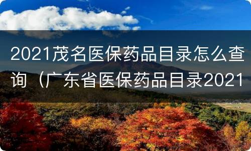 2021茂名医保药品目录怎么查询（广东省医保药品目录2021查询）