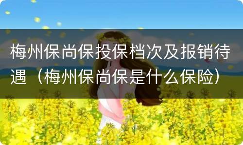 梅州保尚保投保档次及报销待遇（梅州保尚保是什么保险）