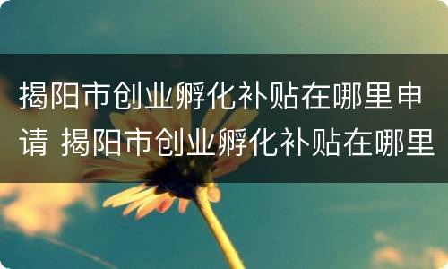 揭阳市创业孵化补贴在哪里申请 揭阳市创业孵化补贴在哪里申请的