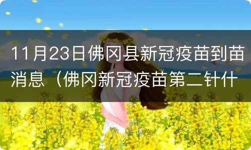 11月23日佛冈县新冠疫苗到苗消息（佛冈新冠疫苗第二针什么时候有号）