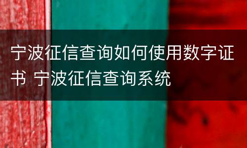 宁波征信查询如何使用数字证书 宁波征信查询系统