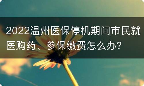 2022温州医保停机期间市民就医购药、参保缴费怎么办？