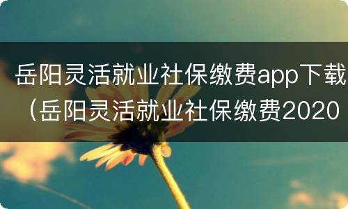 岳阳灵活就业社保缴费app下载（岳阳灵活就业社保缴费2020）