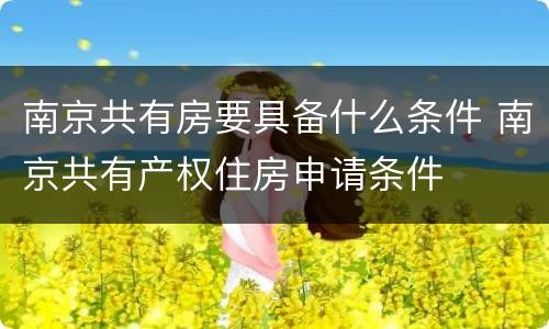 南京共有房要具备什么条件 南京共有产权住房申请条件