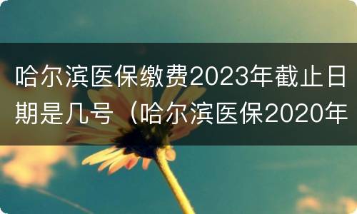 哈尔滨医保缴费2023年截止日期是几号（哈尔滨医保2020年缴费时间）