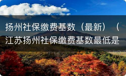 扬州社保缴费基数（最新）（江苏扬州社保缴费基数最低是多少）