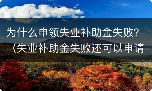 为什么申领失业补助金失败？（失业补助金失败还可以申请吗）