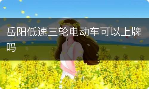 岳阳低速三轮电动车可以上牌吗