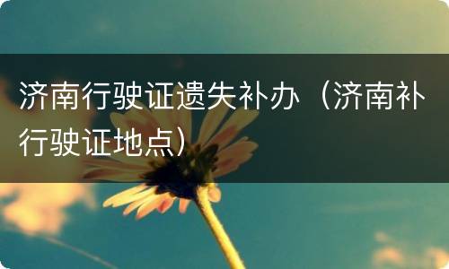 济南行驶证遗失补办（济南补行驶证地点）